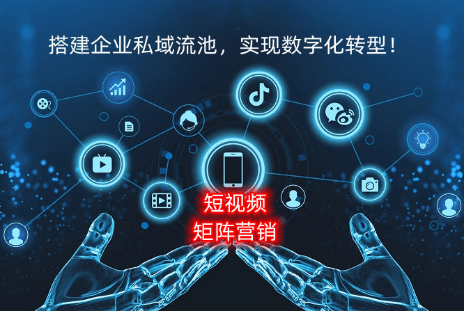 AI短视频数据分析